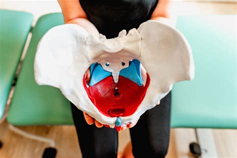 WOMEN'S HEALTH PHYSIOTHERAPY & OSTEOPATHY .